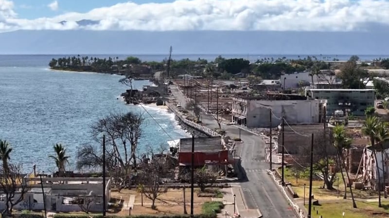 Lahaina commercial debris